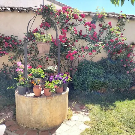 Don Camino ホステル